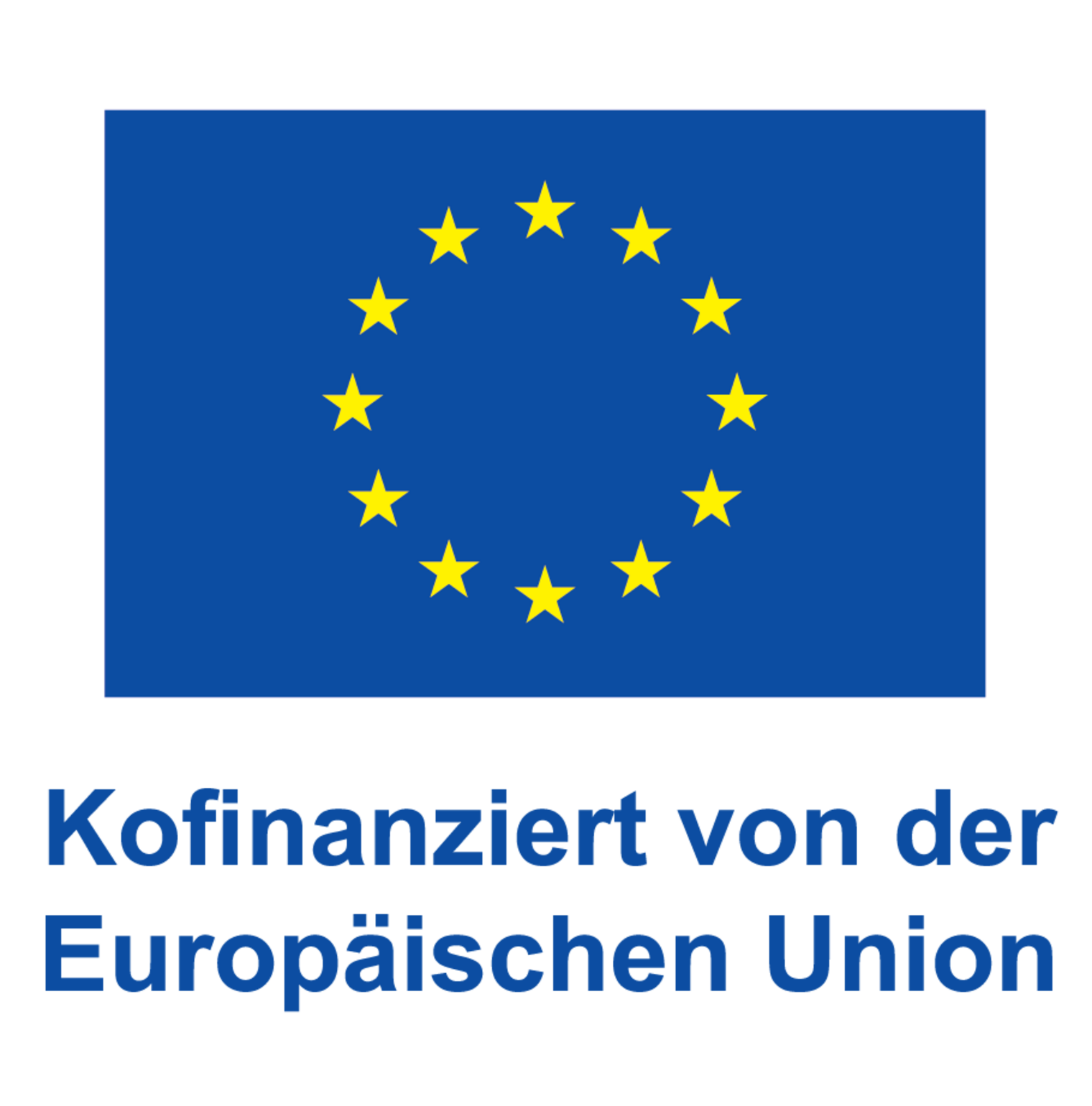 Logo Kofinanziert von der EU_POS